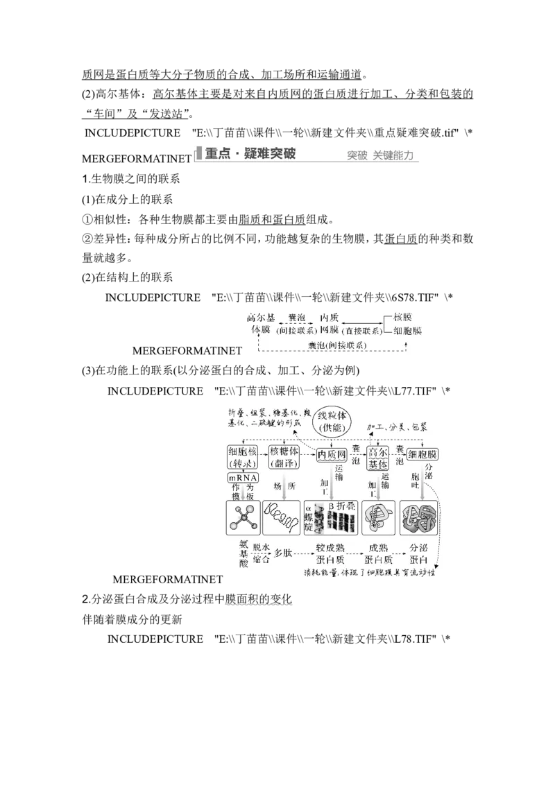 第5讲细胞器之间的分工合作_2024年新高考资料_1.2024一轮复习_2024年高考生物一轮复习讲义（新人教版）_另附1套Word版题库_必修1_第二单元细胞的基本结构与物质运输