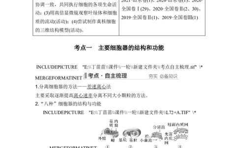 第5讲细胞器之间的分工合作_2024年新高考资料_1.2024一轮复习_2024年高考生物一轮复习讲义（新人教版）_另附1套Word版题库_必修1_第二单元细胞的基本结构与物质运输