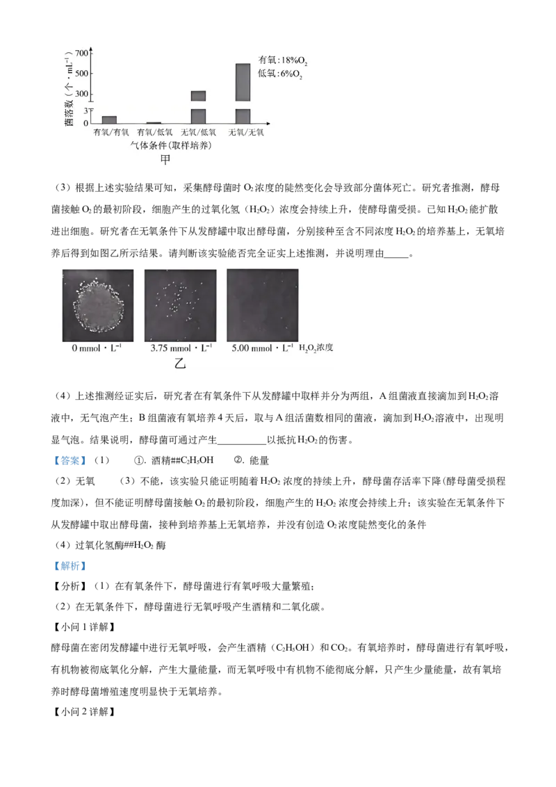 2024年高考生物试卷（北京）（含答案）_北京市高考历年真题_生物