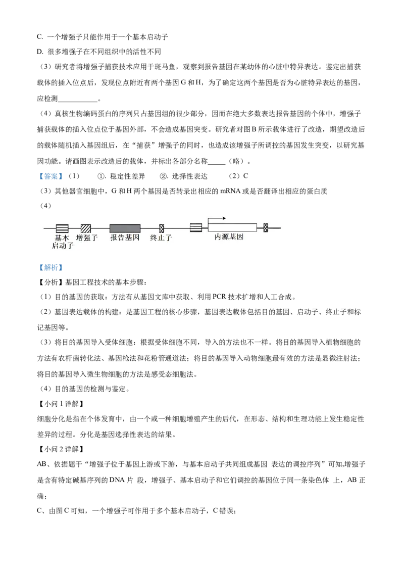 2024年高考生物试卷（北京）（含答案）_北京市高考历年真题_生物