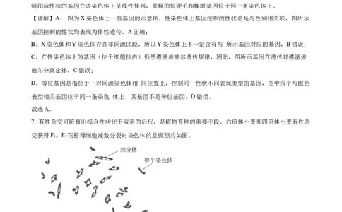 2024年高考生物试卷（北京）（含答案）_北京市高考历年真题_生物