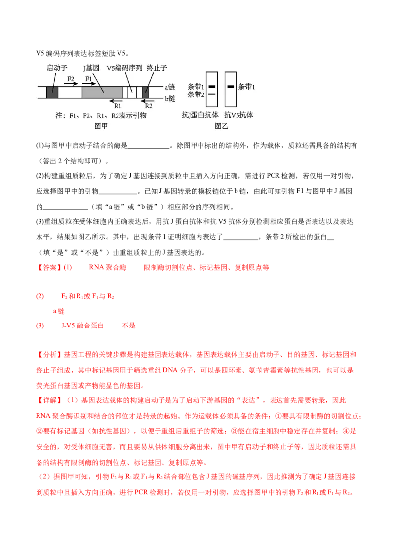 考点通关卷36基因工程（解析版）_2024年新高考资料_1.2024一轮复习_2024年高考生物一轮复习考点通关卷（新高考通用）