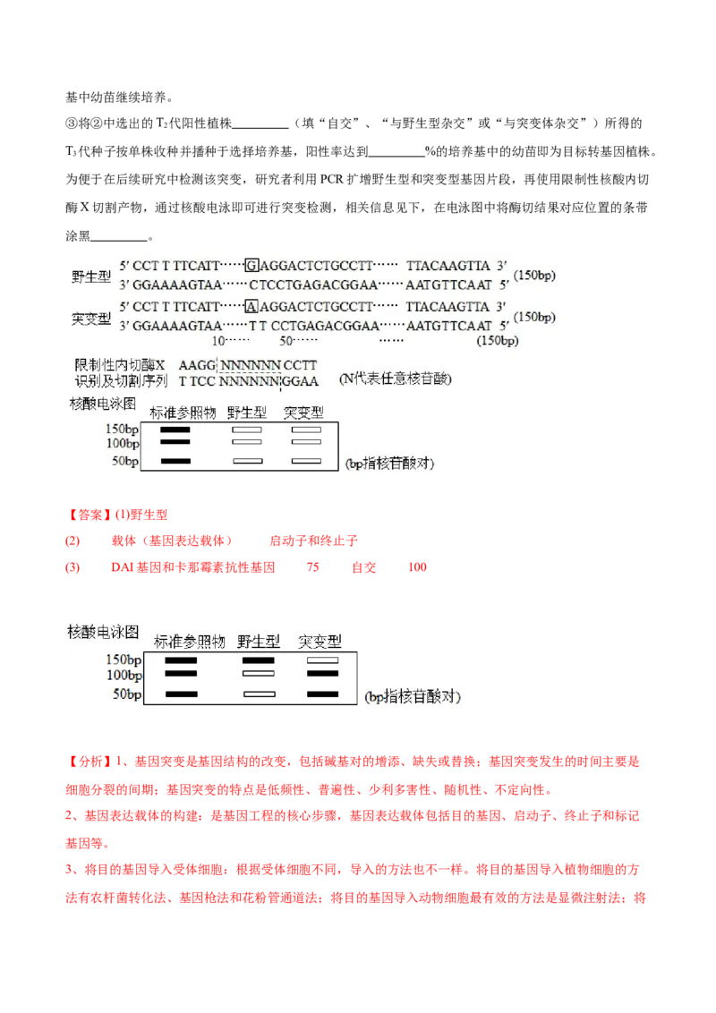 考点通关卷36基因工程（解析版）_2024年新高考资料_1.2024一轮复习_2024年高考生物一轮复习考点通关卷（新高考通用）