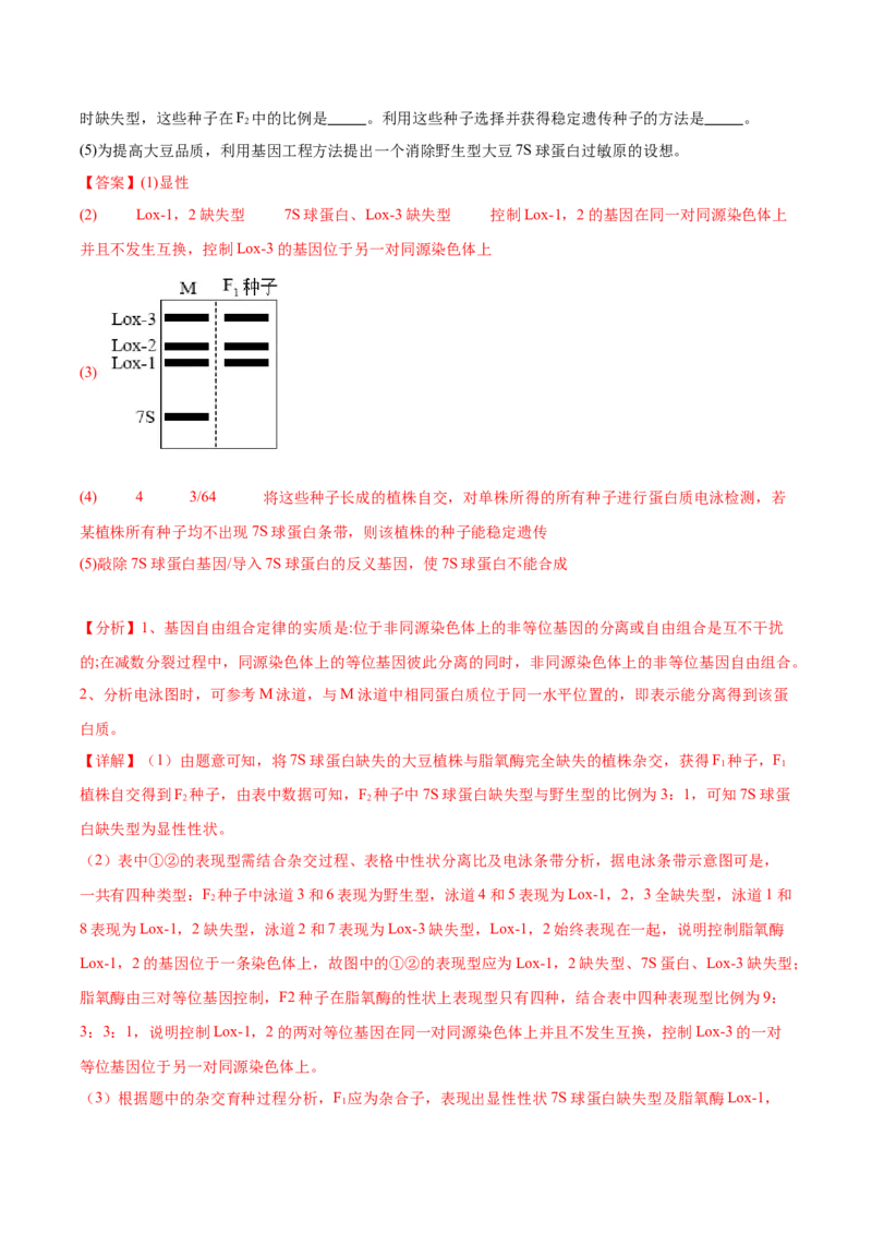 考点通关卷36基因工程（解析版）_2024年新高考资料_1.2024一轮复习_2024年高考生物一轮复习考点通关卷（新高考通用）
