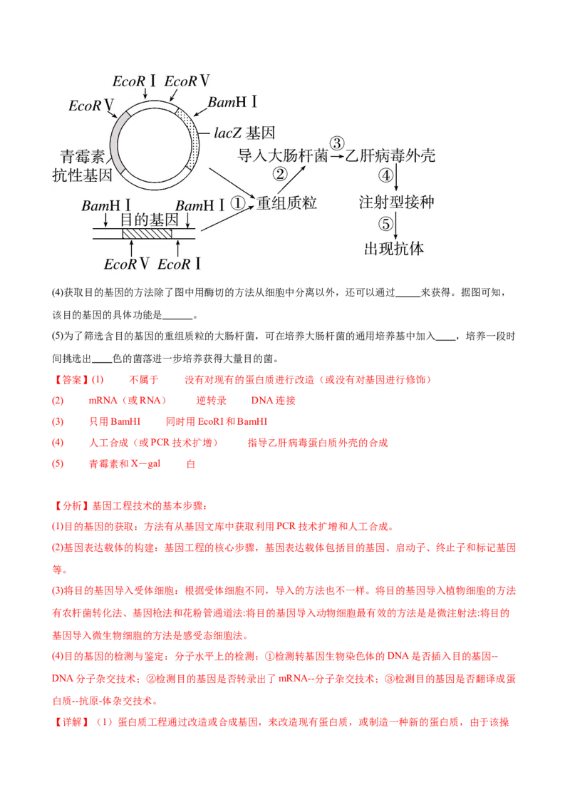 考点通关卷36基因工程（解析版）_2024年新高考资料_1.2024一轮复习_2024年高考生物一轮复习考点通关卷（新高考通用）
