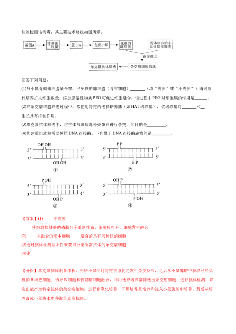 考点通关卷36基因工程（解析版）_2024年新高考资料_1.2024一轮复习_2024年高考生物一轮复习考点通关卷（新高考通用）