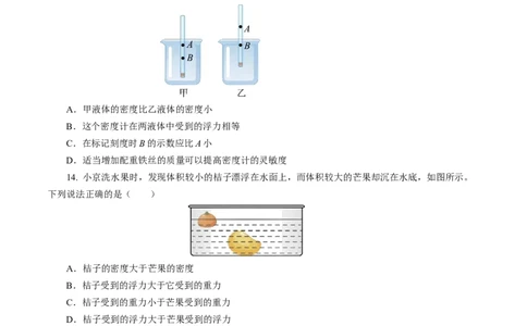 10.3物体的浮沉条件及应用（分层作业）原卷版_初物_八年级上下册+九年级全一册物理_八年级物理下册_分层作业（更新中）