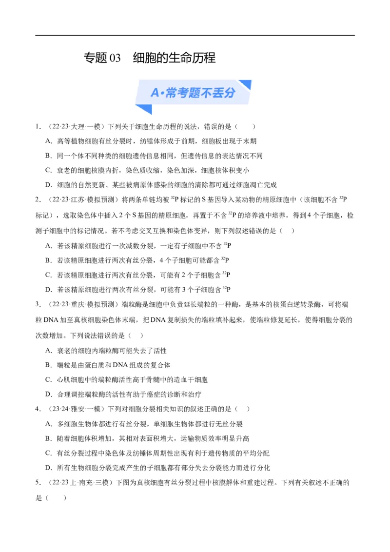 专题03细胞的生命历程（分层练）（原卷版）_新高考复习资料_2024年新高考复习资料_二轮复习资料_高频考点解密2024年高考生物二轮复习高频考点追踪与预测（新高考专用）_分层练