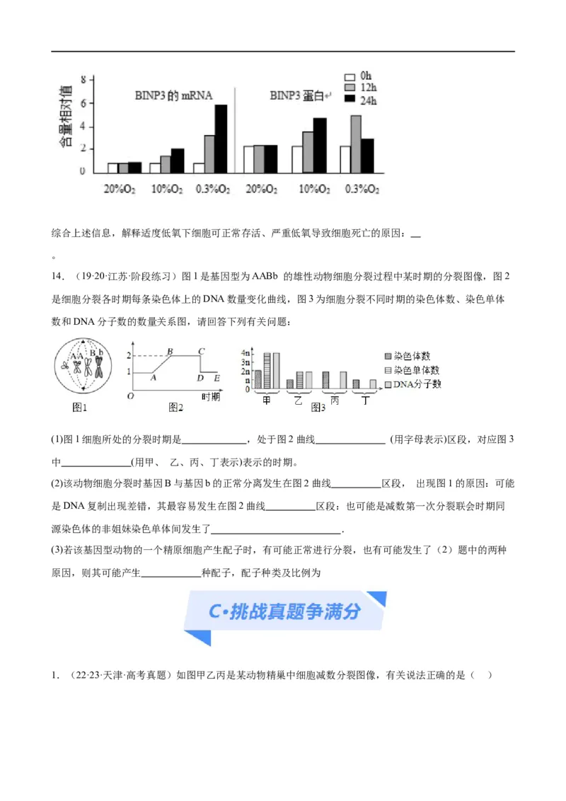 专题03细胞的生命历程（分层练）（原卷版）_新高考复习资料_2024年新高考复习资料_二轮复习资料_高频考点解密2024年高考生物二轮复习高频考点追踪与预测（新高考专用）_分层练
