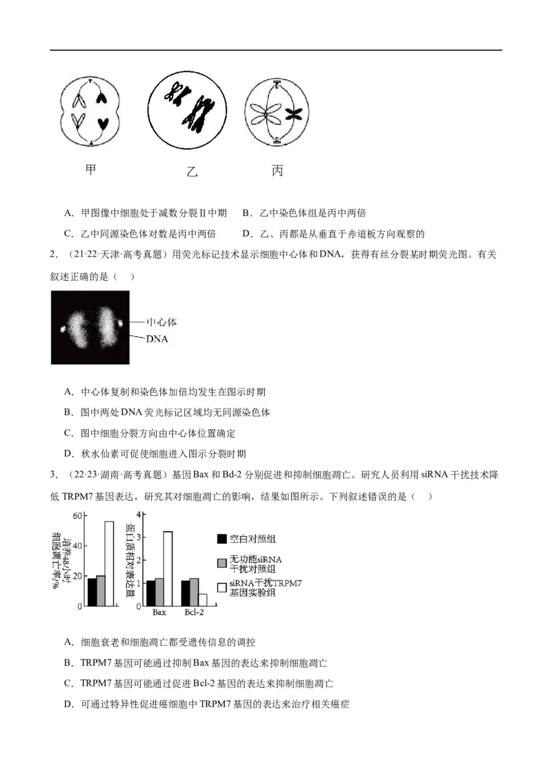 专题03细胞的生命历程（分层练）（原卷版）_新高考复习资料_2024年新高考复习资料_二轮复习资料_高频考点解密2024年高考生物二轮复习高频考点追踪与预测（新高考专用）_分层练