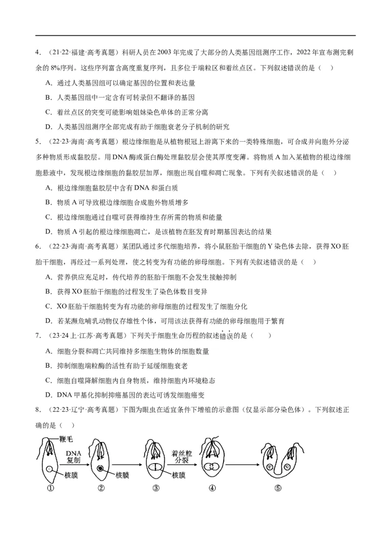 专题03细胞的生命历程（分层练）（原卷版）_新高考复习资料_2024年新高考复习资料_二轮复习资料_高频考点解密2024年高考生物二轮复习高频考点追踪与预测（新高考专用）_分层练