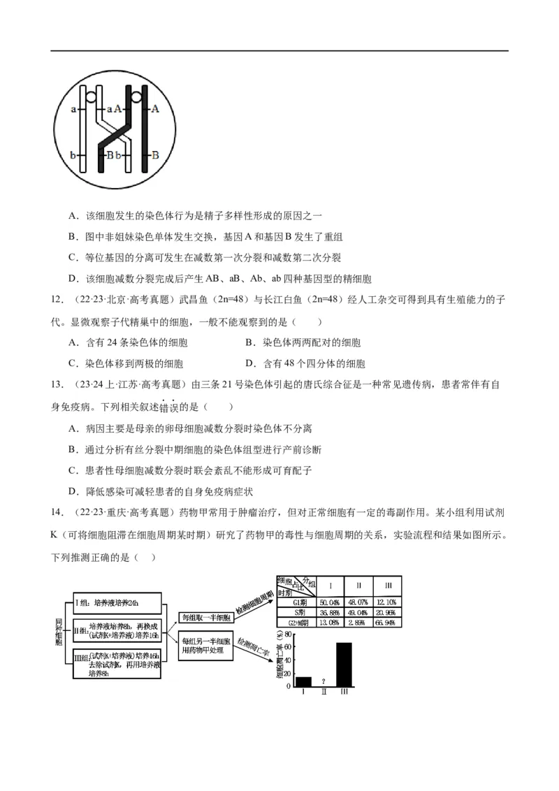 专题03细胞的生命历程（分层练）（原卷版）_新高考复习资料_2024年新高考复习资料_二轮复习资料_高频考点解密2024年高考生物二轮复习高频考点追踪与预测（新高考专用）_分层练