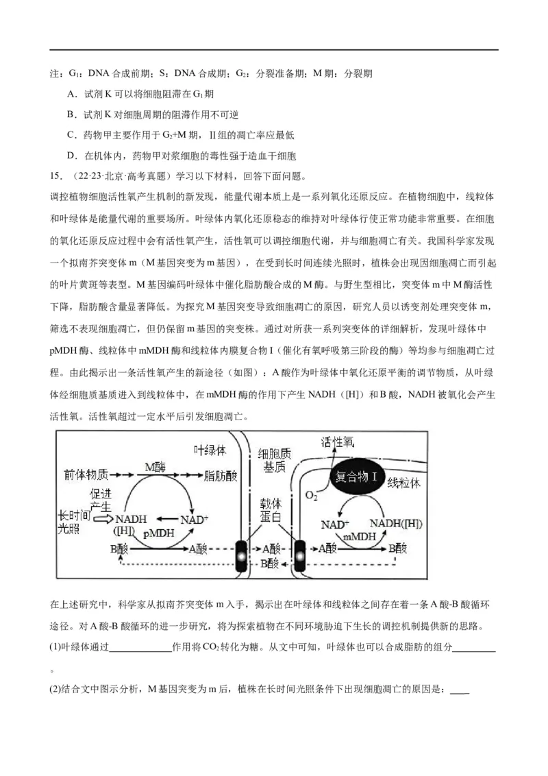 专题03细胞的生命历程（分层练）（原卷版）_新高考复习资料_2024年新高考复习资料_二轮复习资料_高频考点解密2024年高考生物二轮复习高频考点追踪与预测（新高考专用）_分层练