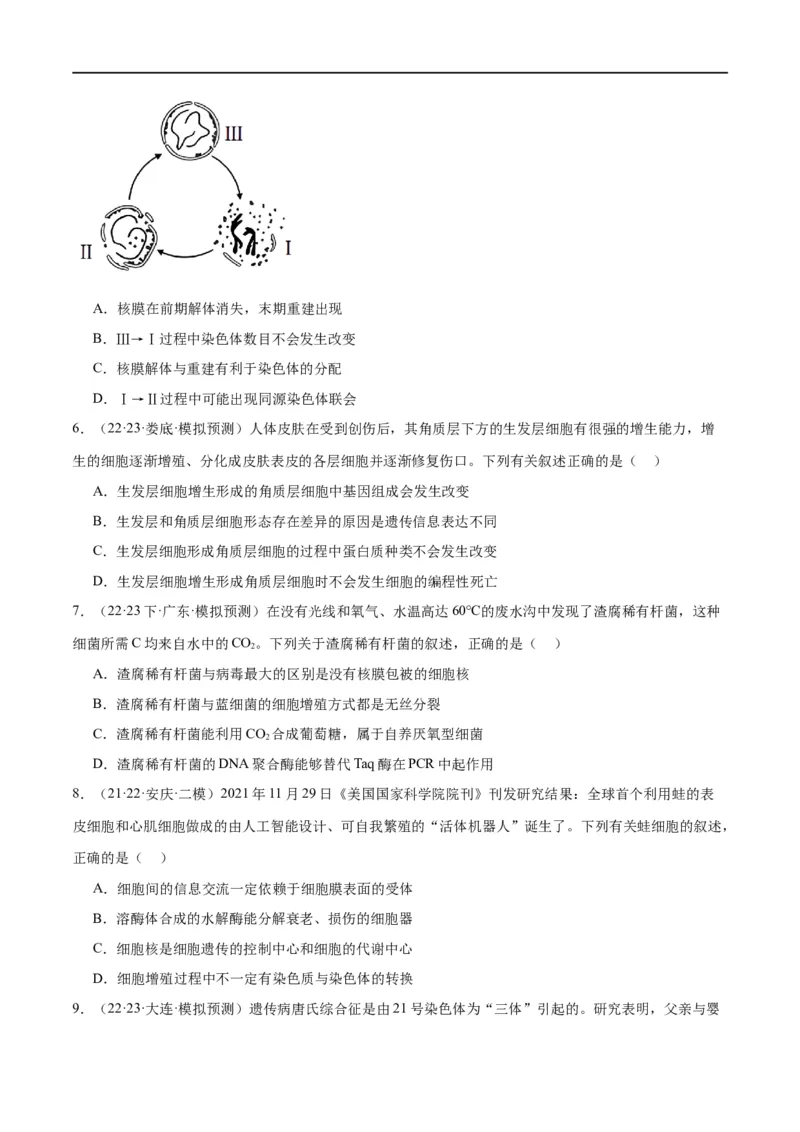 专题03细胞的生命历程（分层练）（原卷版）_新高考复习资料_2024年新高考复习资料_二轮复习资料_高频考点解密2024年高考生物二轮复习高频考点追踪与预测（新高考专用）_分层练