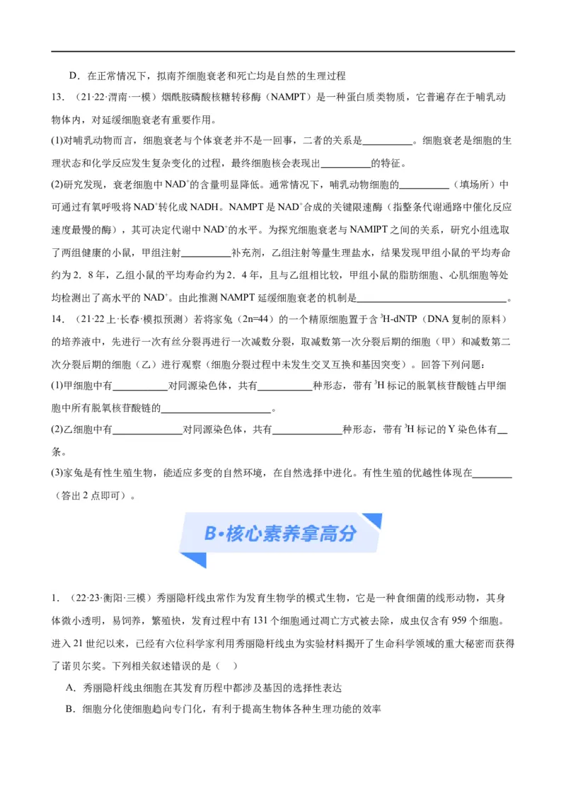 专题03细胞的生命历程（分层练）（原卷版）_新高考复习资料_2024年新高考复习资料_二轮复习资料_高频考点解密2024年高考生物二轮复习高频考点追踪与预测（新高考专用）_分层练
