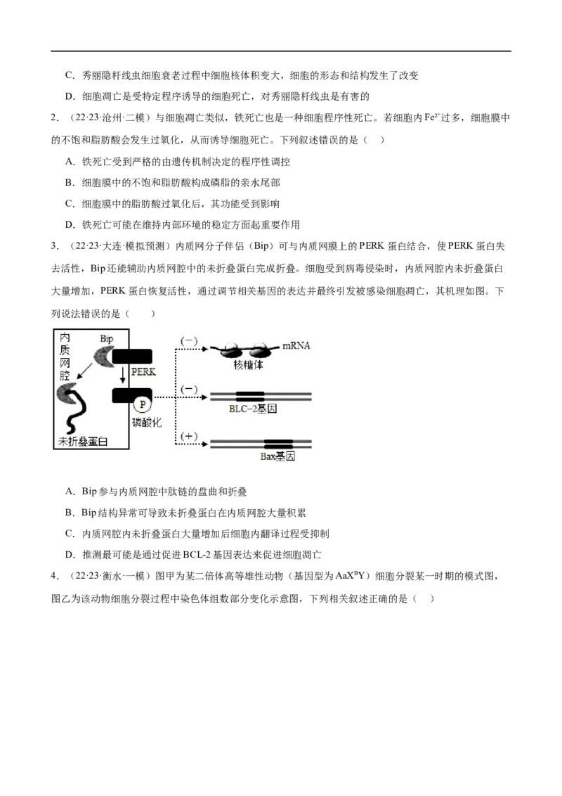 专题03细胞的生命历程（分层练）（原卷版）_新高考复习资料_2024年新高考复习资料_二轮复习资料_高频考点解密2024年高考生物二轮复习高频考点追踪与预测（新高考专用）_分层练