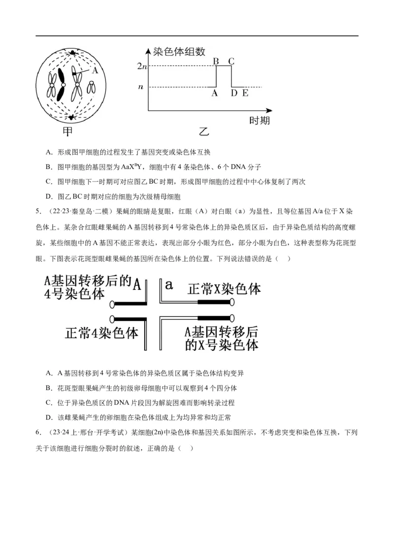 专题03细胞的生命历程（分层练）（原卷版）_新高考复习资料_2024年新高考复习资料_二轮复习资料_高频考点解密2024年高考生物二轮复习高频考点追踪与预测（新高考专用）_分层练