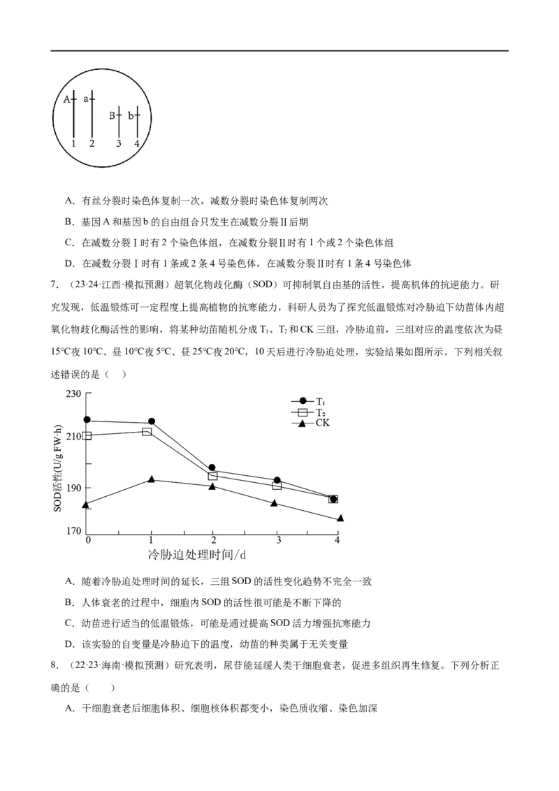 专题03细胞的生命历程（分层练）（原卷版）_新高考复习资料_2024年新高考复习资料_二轮复习资料_高频考点解密2024年高考生物二轮复习高频考点追踪与预测（新高考专用）_分层练