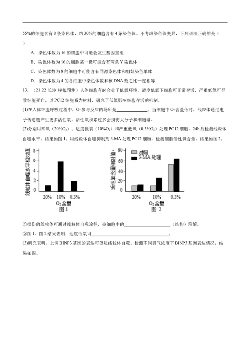 专题03细胞的生命历程（分层练）（原卷版）_新高考复习资料_2024年新高考复习资料_二轮复习资料_高频考点解密2024年高考生物二轮复习高频考点追踪与预测（新高考专用）_分层练
