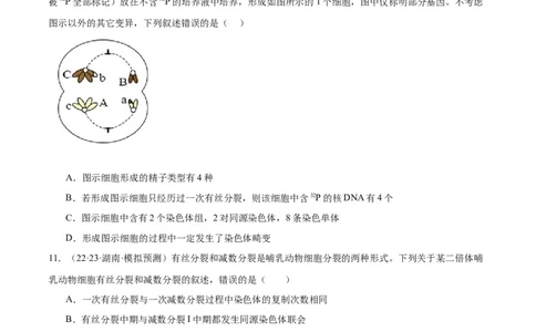 专题03细胞的生命历程（分层练）（原卷版）_新高考复习资料_2024年新高考复习资料_二轮复习资料_高频考点解密2024年高考生物二轮复习高频考点追踪与预测（新高考专用）_分层练