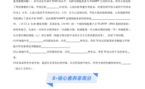 专题03细胞的生命历程（分层练）（原卷版）_新高考复习资料_2024年新高考复习资料_二轮复习资料_高频考点解密2024年高考生物二轮复习高频考点追踪与预测（新高考专用）_分层练