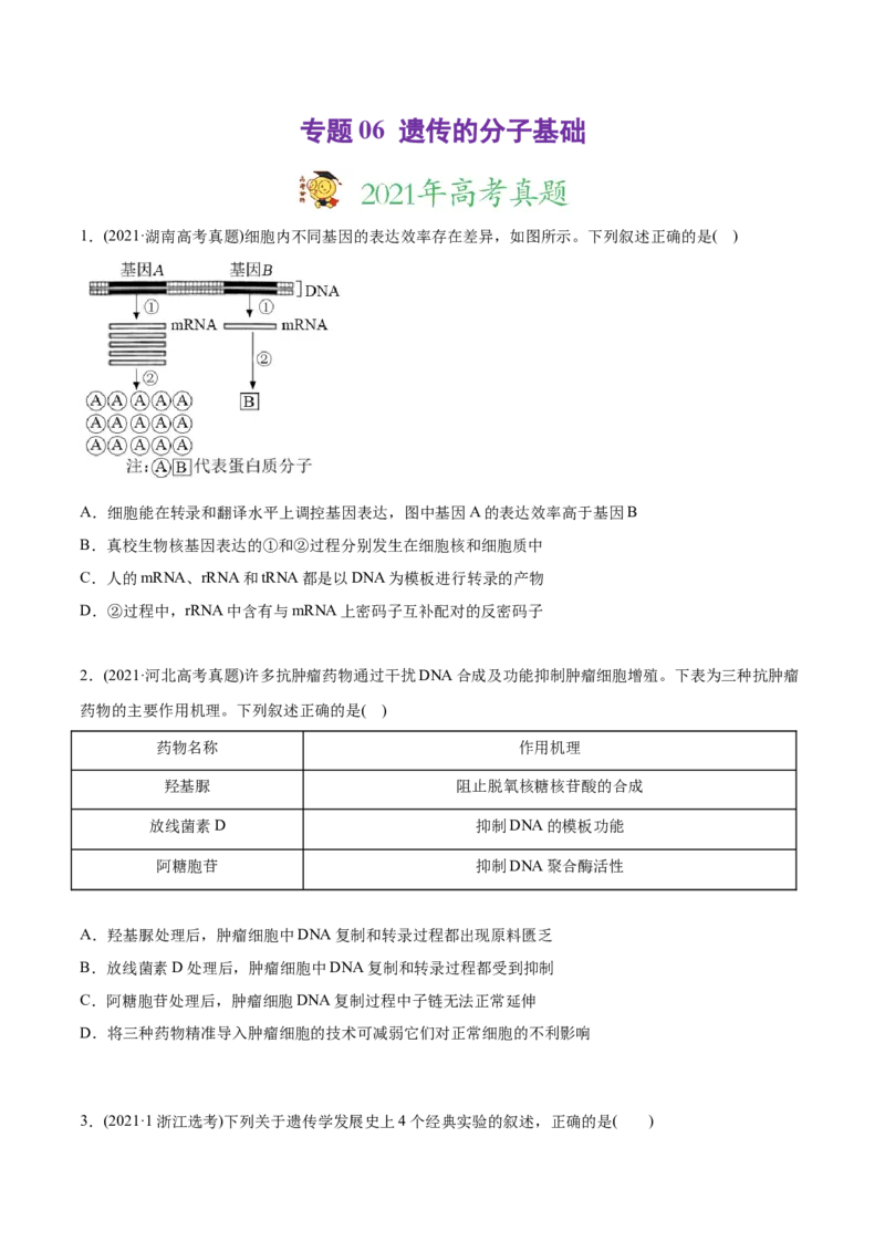 专题06遗传的分子基础-2021年高考生物真题与模拟题分类训练（学生版）_新高考复习资料_2023年新高考复习资料_一轮复习_2023年新高考大一轮复习讲义