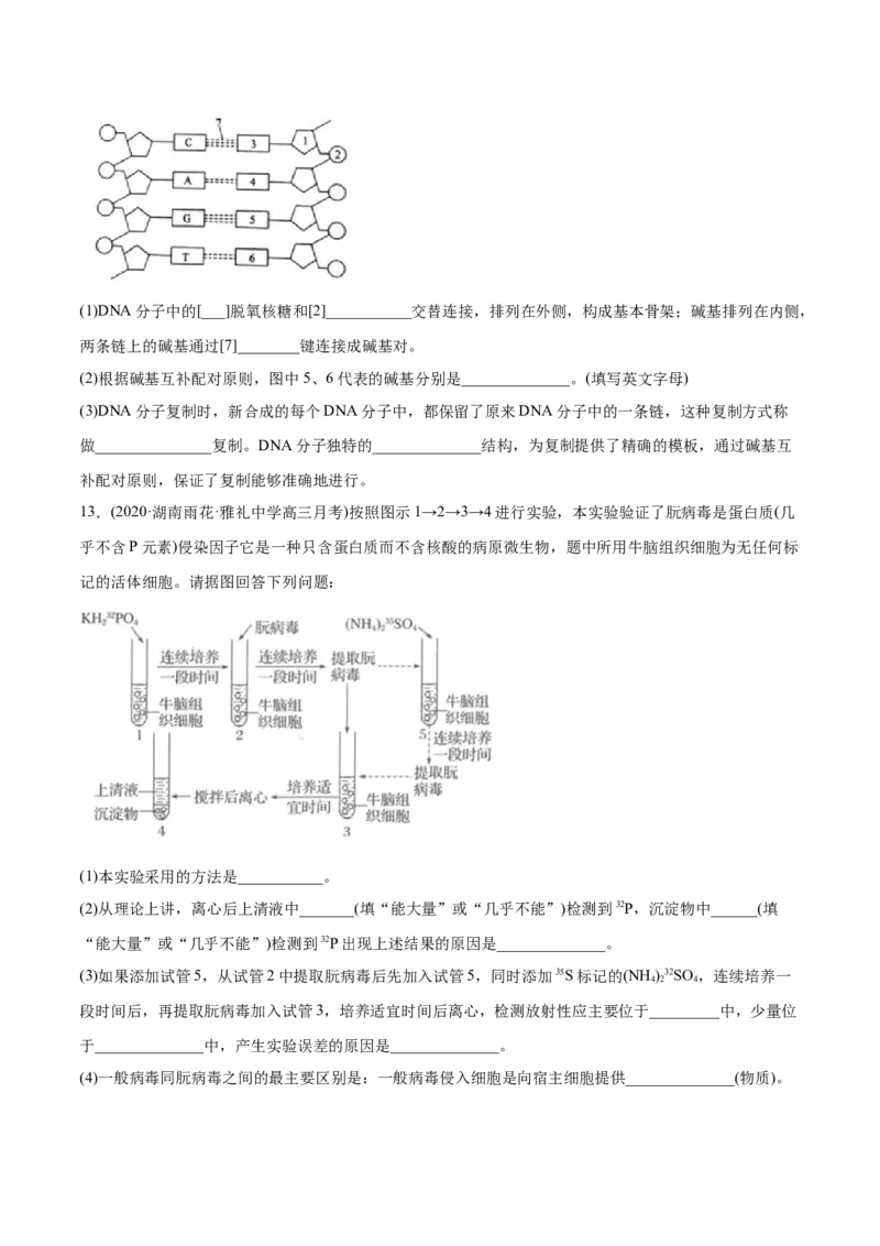 专题06遗传的分子基础-2021年高考生物真题与模拟题分类训练（学生版）_新高考复习资料_2023年新高考复习资料_一轮复习_2023年新高考大一轮复习讲义