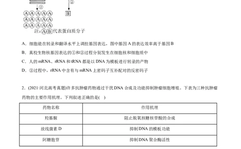 专题06遗传的分子基础-2021年高考生物真题与模拟题分类训练（学生版）_新高考复习资料_2023年新高考复习资料_一轮复习_2023年新高考大一轮复习讲义