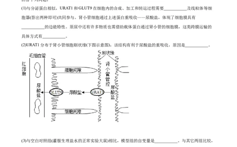 专题06遗传的分子基础-2021年高考生物真题与模拟题分类训练（学生版）_新高考复习资料_2023年新高考复习资料_一轮复习_2023年新高考大一轮复习讲义