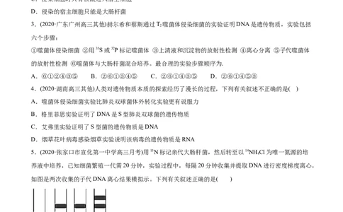 专题06遗传的分子基础-2021年高考生物真题与模拟题分类训练（学生版）_新高考复习资料_2023年新高考复习资料_一轮复习_2023年新高考大一轮复习讲义
