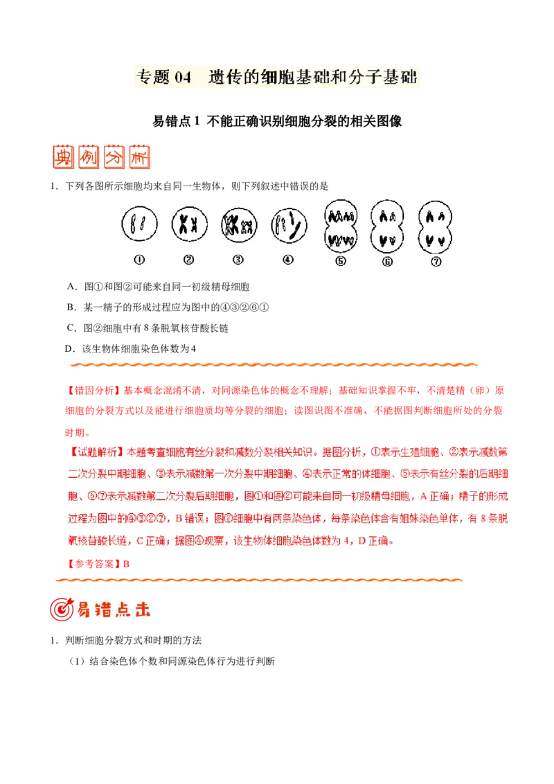 专题04遗传的细胞基础和分子基础-备战2019年高考生物之纠错笔记系列（解析版）_新高考复习资料_2022年新高考复习资料_2022年一轮复习最新版_1.2022年高考生物一轮复习全国通用版