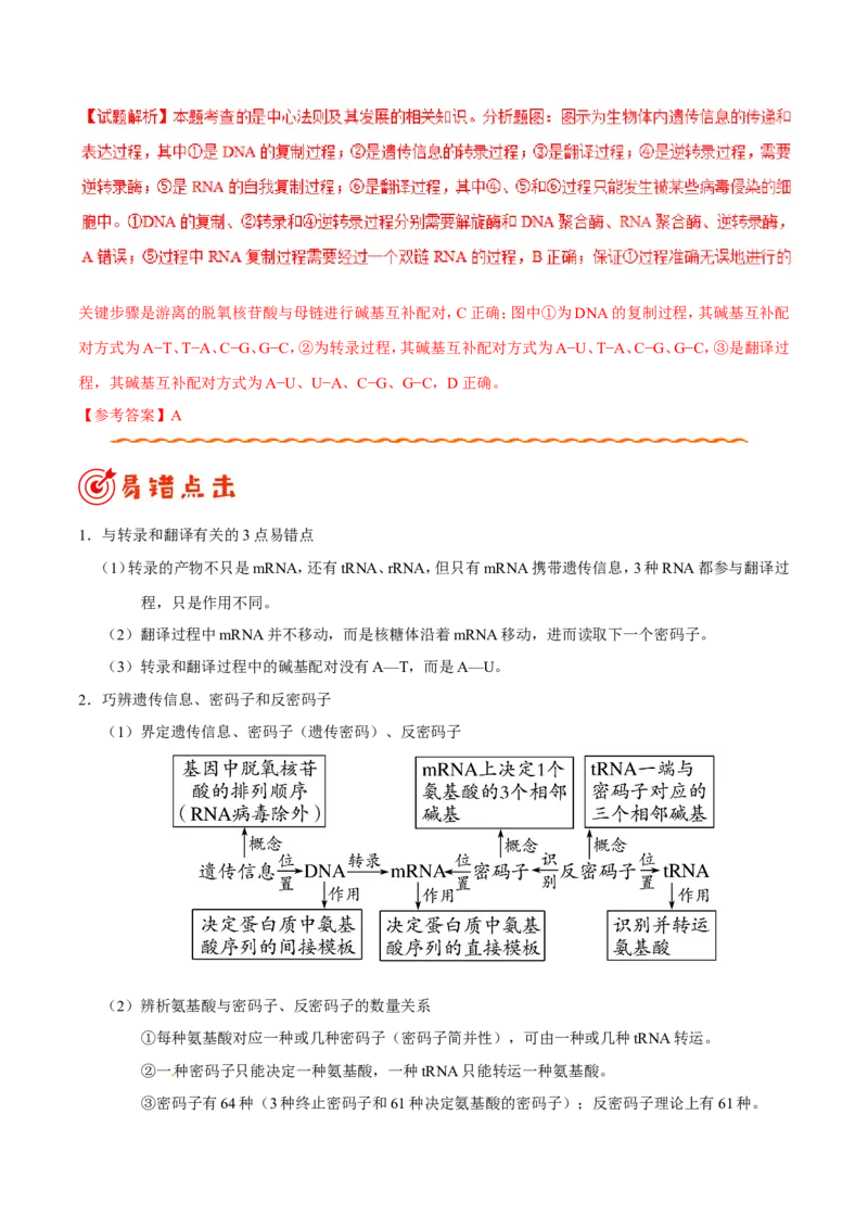 专题04遗传的细胞基础和分子基础-备战2019年高考生物之纠错笔记系列（解析版）_新高考复习资料_2022年新高考复习资料_2022年一轮复习最新版_1.2022年高考生物一轮复习全国通用版