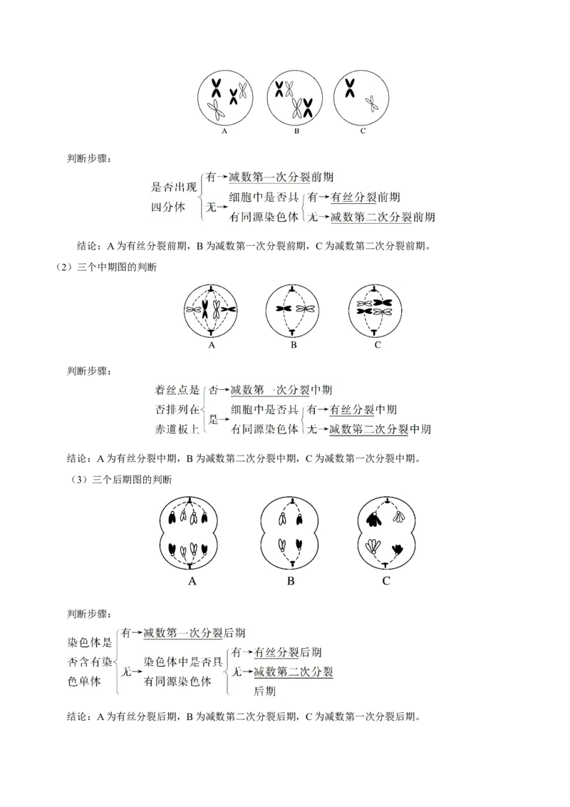 专题04遗传的细胞基础和分子基础-备战2019年高考生物之纠错笔记系列（解析版）_新高考复习资料_2022年新高考复习资料_2022年一轮复习最新版_1.2022年高考生物一轮复习全国通用版