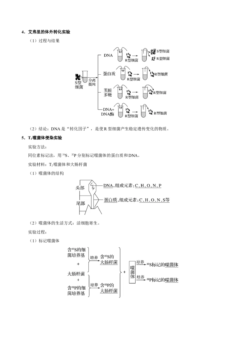 专题04遗传的细胞基础和分子基础-备战2019年高考生物之纠错笔记系列（解析版）_新高考复习资料_2022年新高考复习资料_2022年一轮复习最新版_1.2022年高考生物一轮复习全国通用版