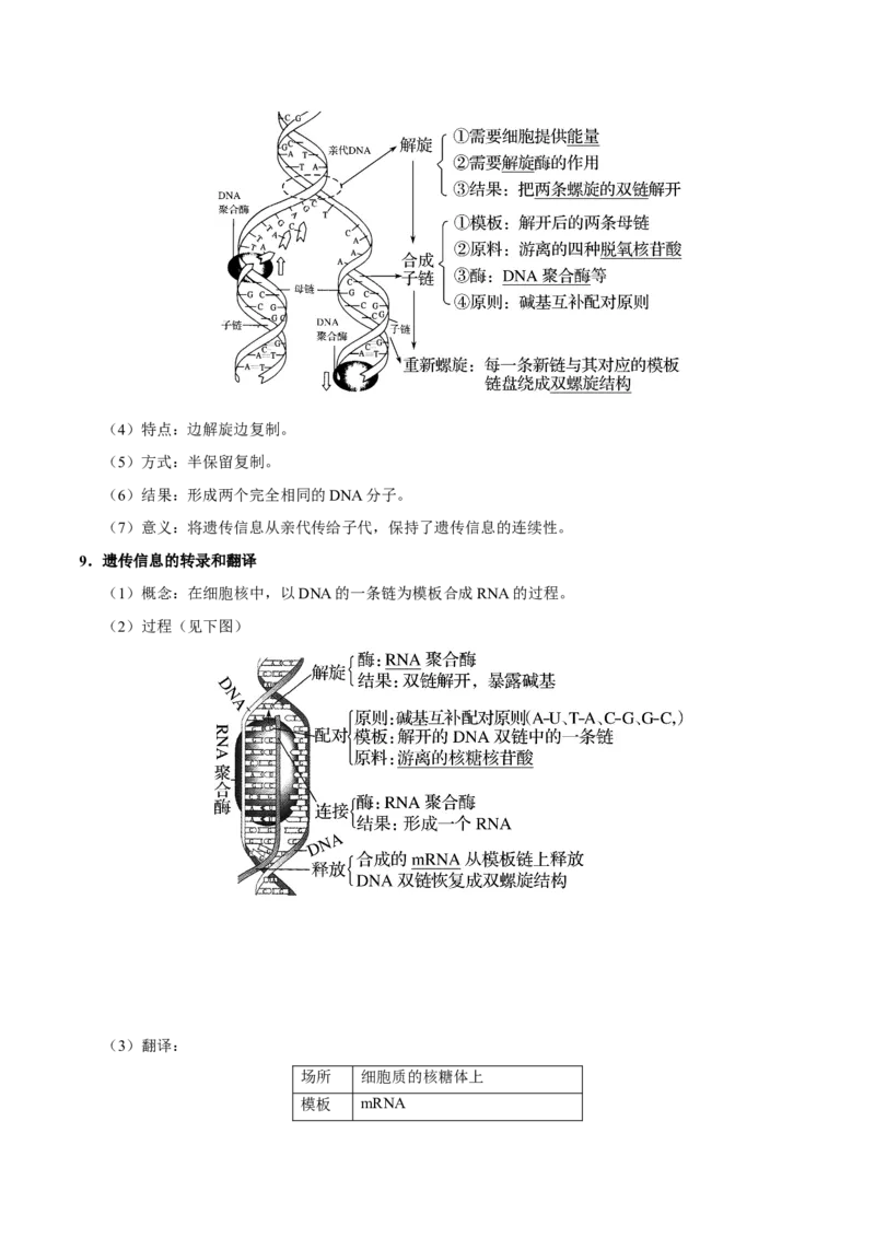 专题04遗传的细胞基础和分子基础-备战2019年高考生物之纠错笔记系列（解析版）_新高考复习资料_2022年新高考复习资料_2022年一轮复习最新版_1.2022年高考生物一轮复习全国通用版