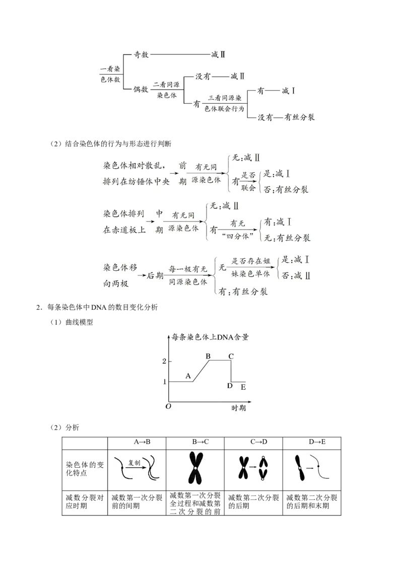 专题04遗传的细胞基础和分子基础-备战2019年高考生物之纠错笔记系列（解析版）_新高考复习资料_2022年新高考复习资料_2022年一轮复习最新版_1.2022年高考生物一轮复习全国通用版