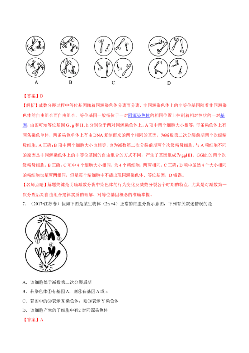 专题04遗传的细胞基础和分子基础-备战2019年高考生物之纠错笔记系列（解析版）_新高考复习资料_2022年新高考复习资料_2022年一轮复习最新版_1.2022年高考生物一轮复习全国通用版