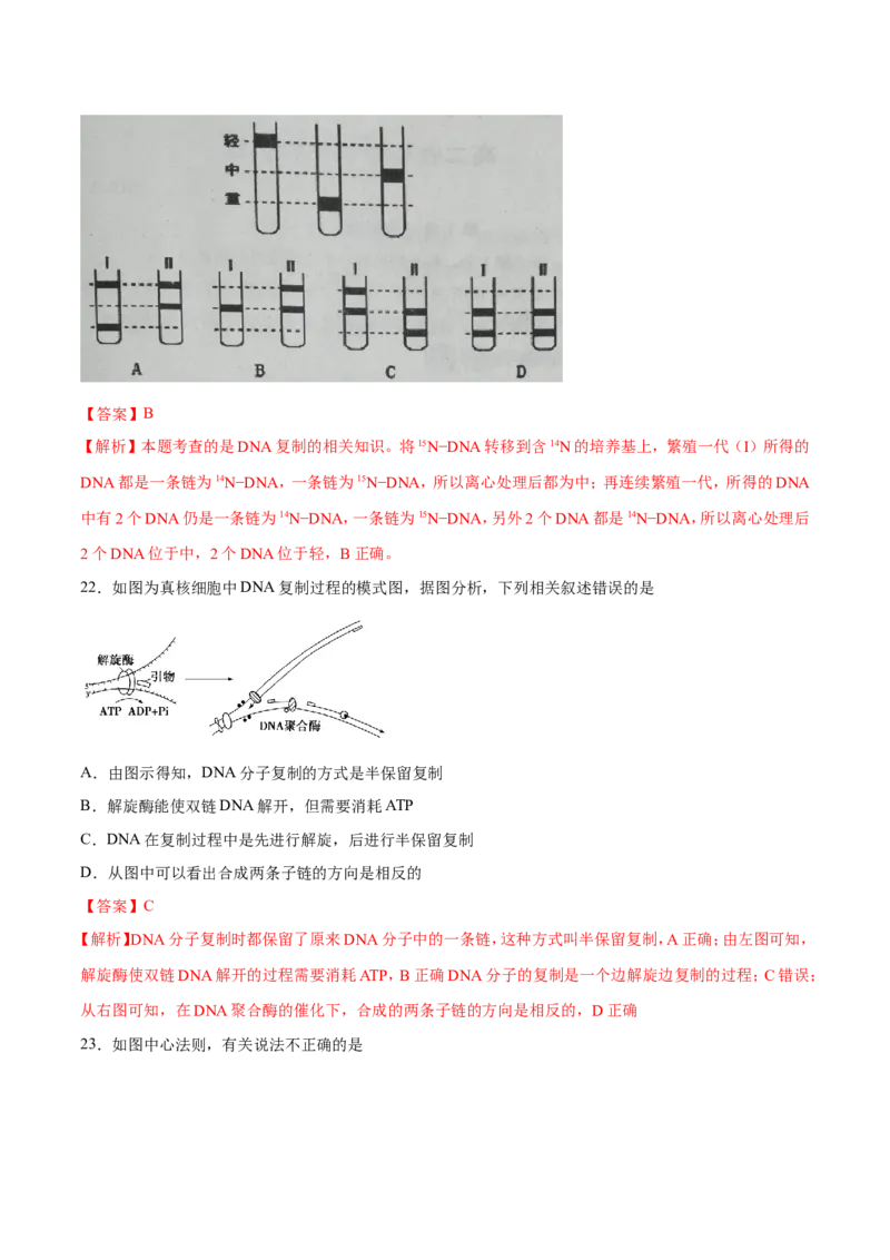 专题04遗传的细胞基础和分子基础-备战2019年高考生物之纠错笔记系列（解析版）_新高考复习资料_2022年新高考复习资料_2022年一轮复习最新版_1.2022年高考生物一轮复习全国通用版
