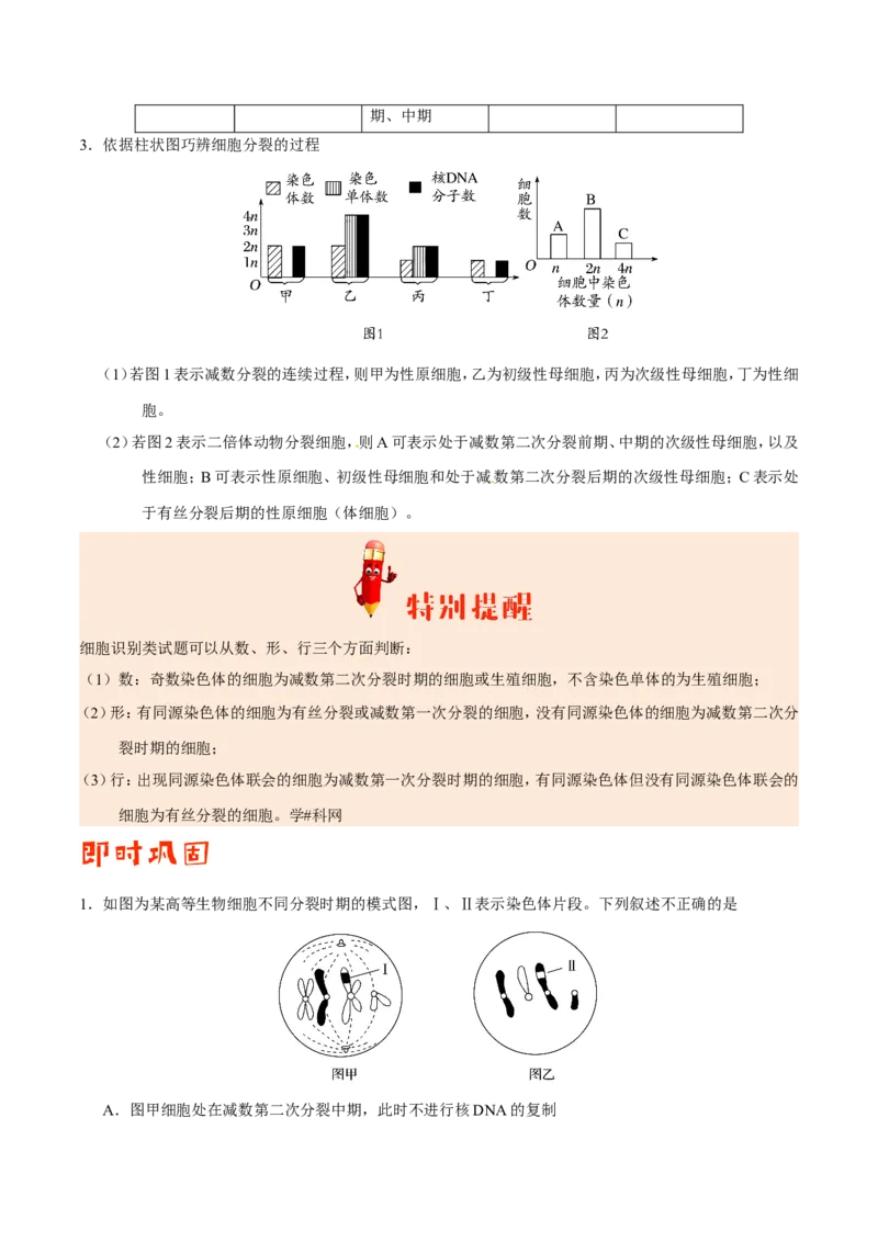 专题04遗传的细胞基础和分子基础-备战2019年高考生物之纠错笔记系列（解析版）_新高考复习资料_2022年新高考复习资料_2022年一轮复习最新版_1.2022年高考生物一轮复习全国通用版