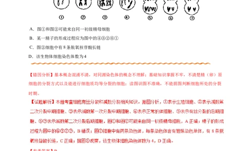 专题04遗传的细胞基础和分子基础-备战2019年高考生物之纠错笔记系列（解析版）_新高考复习资料_2022年新高考复习资料_2022年一轮复习最新版_1.2022年高考生物一轮复习全国通用版