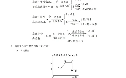 专题04遗传的细胞基础和分子基础-备战2019年高考生物之纠错笔记系列（解析版）_新高考复习资料_2022年新高考复习资料_2022年一轮复习最新版_1.2022年高考生物一轮复习全国通用版