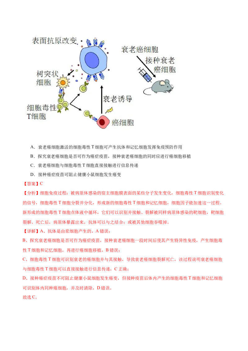考点通关卷28免疫调节（解析版）_2024年新高考资料_1.2024一轮复习_2024年高考生物一轮复习考点通关卷（新高考通用）_考点通关卷28+免疫调节-2024年高考生物一轮复习考点通关卷