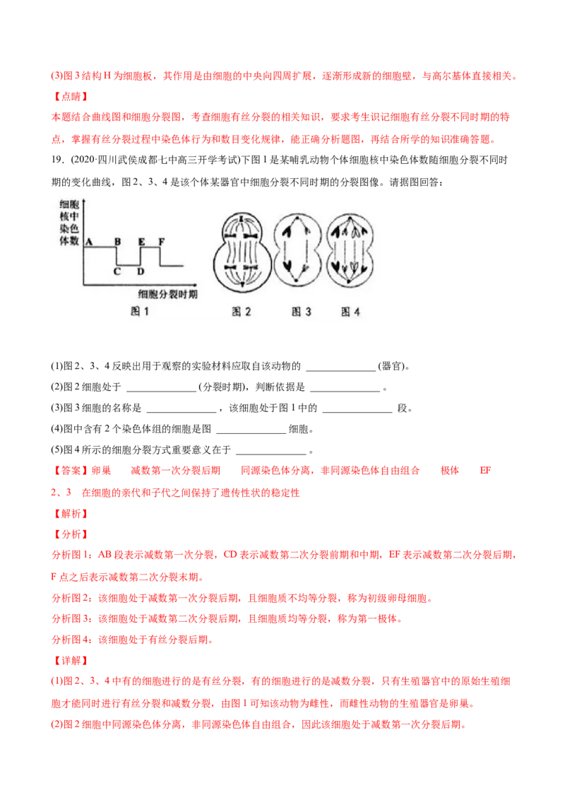 专题04有丝分裂和减数分裂-2021年高考生物真题与模拟题分类训练（教师版含解析）_新高考复习资料_2023年新高考复习资料_一轮复习_2023年新高考大一轮复习讲义