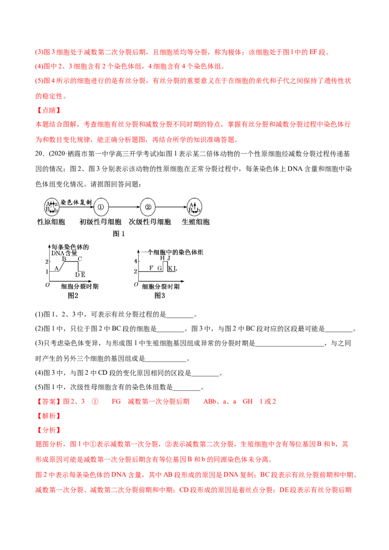 专题04有丝分裂和减数分裂-2021年高考生物真题与模拟题分类训练（教师版含解析）_新高考复习资料_2023年新高考复习资料_一轮复习_2023年新高考大一轮复习讲义