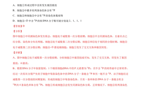 专题04有丝分裂和减数分裂-2021年高考生物真题与模拟题分类训练（教师版含解析）_新高考复习资料_2023年新高考复习资料_一轮复习_2023年新高考大一轮复习讲义