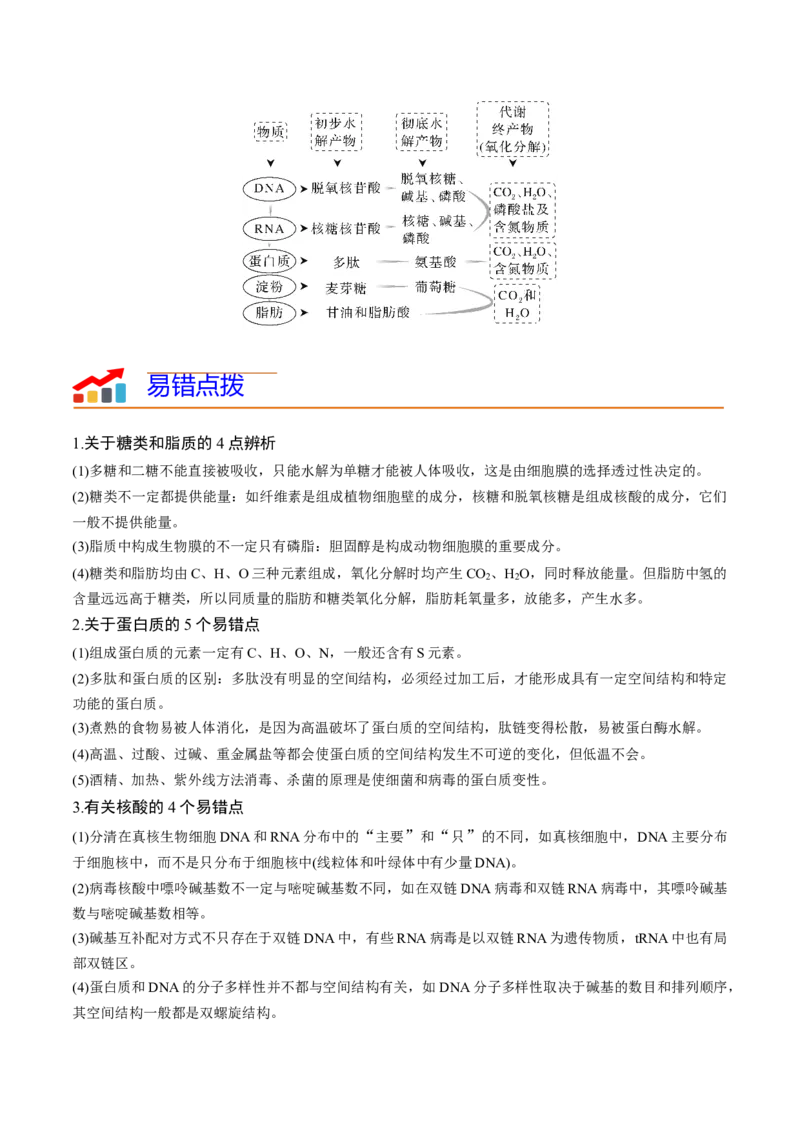 专题01细胞的物质基础（原卷版）_新高考复习资料_2024年新高考复习资料_❤专项复习资料_2024年高考生物热点&middot;重点&middot;难点专练（新高考专用）