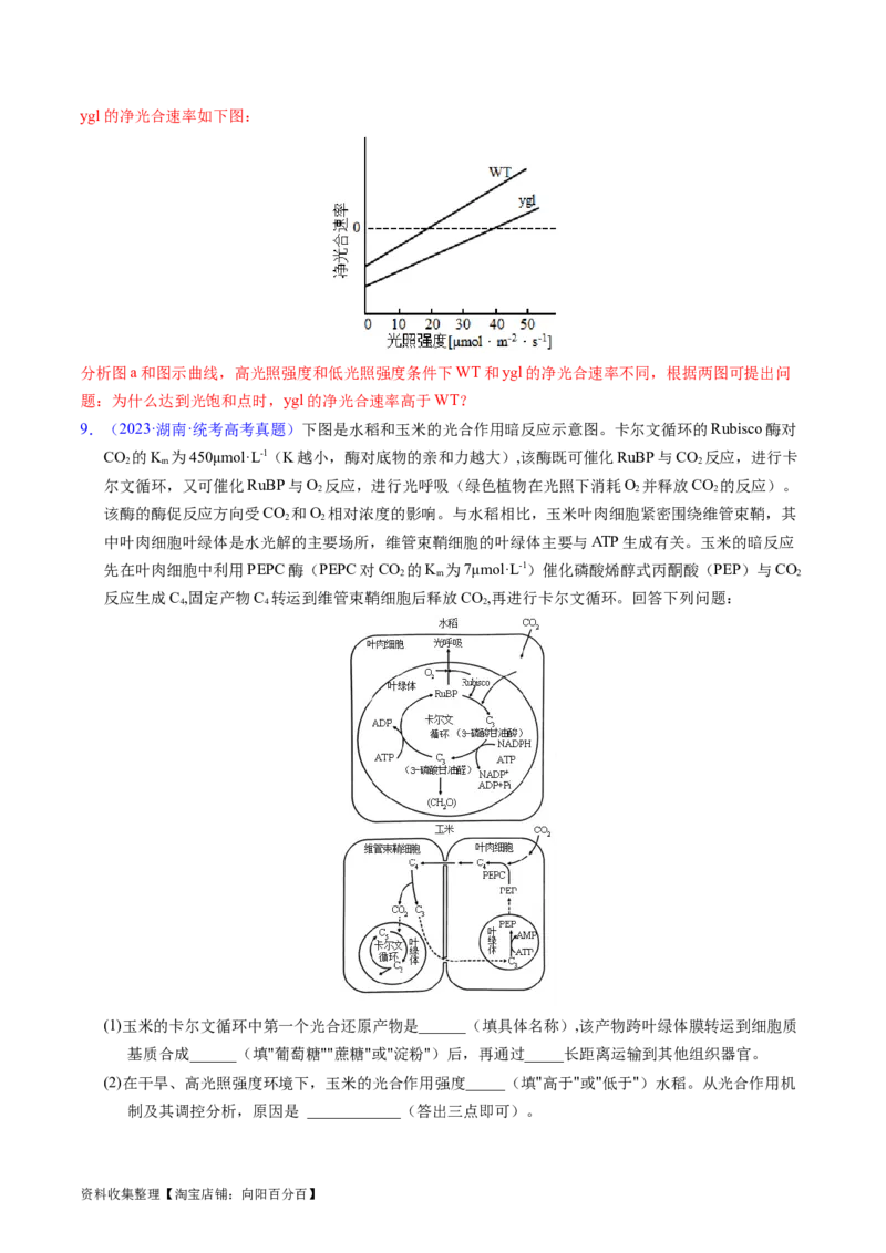 专题05细胞呼吸与光合作用-学易金卷：五年（2019-2023）高考生物真题分项汇编（全国通用）（解析版）_通用版（老高考）复习资料_2024年复习资料