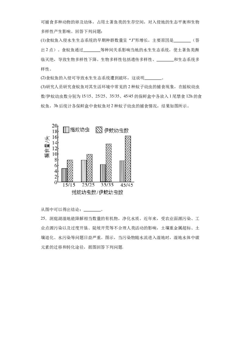 第九单元生物与环境（测试卷）（原卷版）_2024年新高考资料_3.2024专项复习_备战2024年高考生物一轮复习重难点专项突破