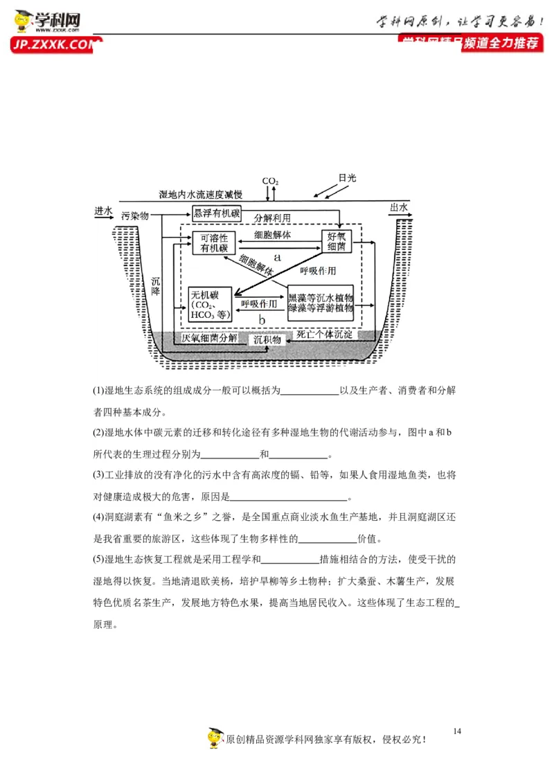 第九单元生物与环境（测试卷）（原卷版）_2024年新高考资料_3.2024专项复习_备战2024年高考生物一轮复习重难点专项突破