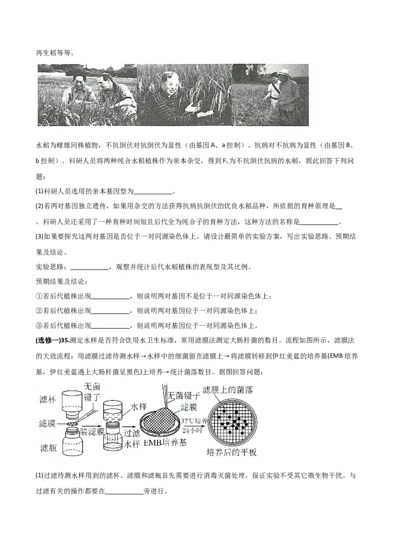 黄金卷01（考试版）-赢在高考&middot;黄金8卷备战2024年高考生物模拟卷（全国专用）_2024年新高考资料_4.2024高考模拟预测试卷